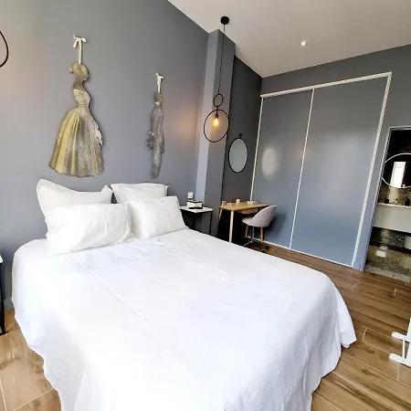 Spacieux Et Lumineux Duplex Avec Terrasse Hypercentre Apartament *